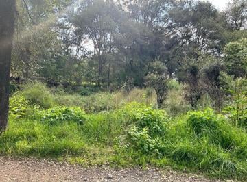 Terreno / Lote · 240m² · Terreno en Venta en Ocoyoacac