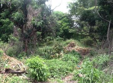 Terreno / Lote · 4268m² · Terreno en Venta, Centro, Jiutepec, Morelos