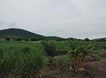Terreno / Lote · 25000m² · Terreno en Venta, Diego Ruíz, Yautepec, Morelos