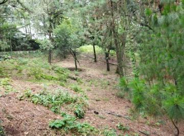 Terreno / Lote · 1139m² · Terreno en Real Montecasino, Huitzilac, Morelos.