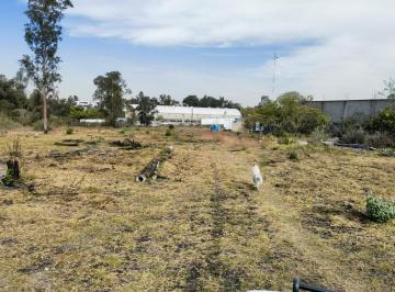 Terreno / Lote , Zapopan · Terreno en Renta Av Vallarta