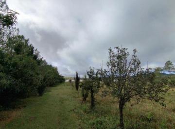 Terreno / Lote , Tapalpa · Rancho en Venta Tapalpa
