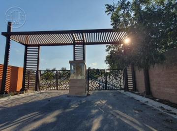 Terreno / Lote , Saltillo · Terrenos en Venta "Nogalar de La Aurora" Saltillo