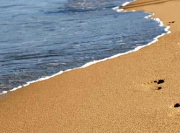Terreno / Lote · 480m² · Terreno en Venta en Playa Novillero Nayarit
