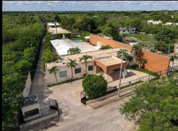 Terreno / Lote , Mérida · Terreno en Venta Chichi Suárez Mérida Yucatán