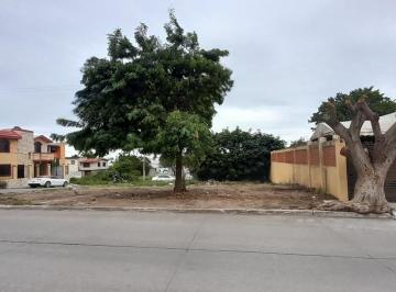 Terreno / Lote · 425m² · Terreno en Renta en Salomón Gutiérrez Col. Luna Luna, Cd. Madero