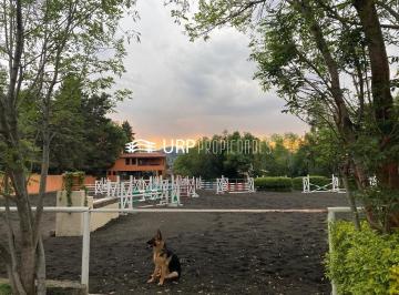 Rancho de 6 habitaciones, Tlalpan · Hermoso Hípico San Luis con 2 Casas