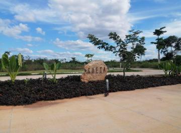 Terreno / Lote · 232m² · Terreno - Fraccionamiento Cabo Norte
