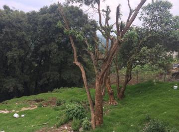 Terreno / Lote , Cuajimalpa de Morelos · Vendo Terreno en Ch Contadero, Cuajimalpa