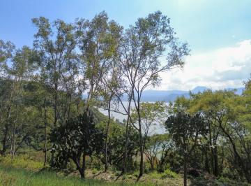 Terreno / Lote · 1307m² · Terreno en Venta - (4)