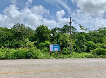 Terreno / Lote , Tulum · 15 Ha con Frente de Carretera / Km 27 Carretera Tulum - Coba