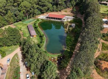 Terreno / Lote · 3686m² · Terreno en Venta - (4)