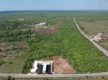 Terreno / Lote , Temax · Venta de Terrenos Ubicados Sobre Carretera Temax, Yucatán - Tizimín