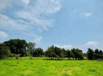 Terreno / Lote , Valle de Bravo · Terreno en Venta en Valle de Bravo a 10 Minutos del Club de Golf Avándaro