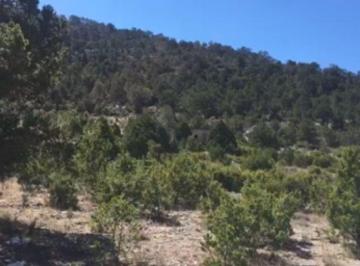 Terreno / Lote · 1075m² · Terreno Para Cabañas San Antonio de Las Alazanas