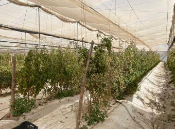 Huerta · 2100000m² · Rancho Agricola en Venta Coahuila