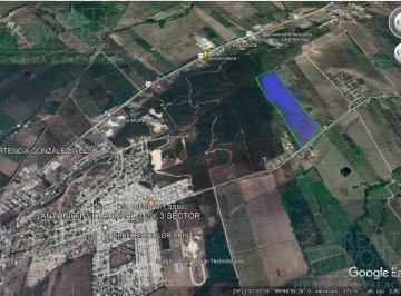 Terreno / Lote · 270000m² · Terreno - Montemorelos