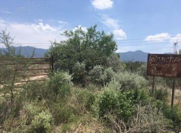 Terreno / Lote · 31875m² · Terreno - Mamulique