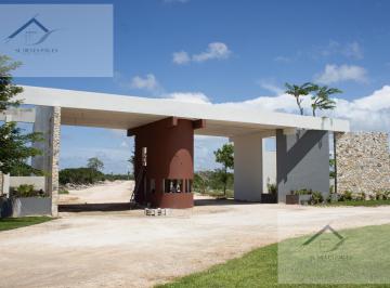 Terreno / Lote · 384m² · Terreno - Chicxulub Pueblo