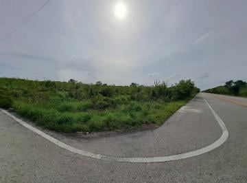 Terreno / Lote · Terreno Comercial o Habitacional Sobre Carretera a Chicxulub Puerto, Mérida Yuc. - (4)