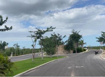 Terreno / Lote en Venta Sitpach · Terreno en Venta en Camelia Residencial Sitpach Mérida