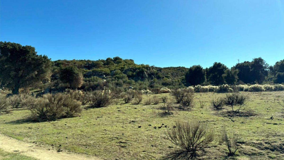 Se Vende Rancho en Tecate, B. C.