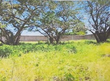 Terreno / Lote · 10000m² · Terreno - Pueblo Alpuyeca
