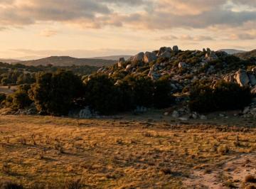 Rancho , Tecate · Se Vende Terreno en Santa Véronica, Tecate, B. C.