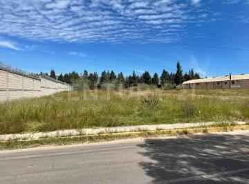 Terreno / Lote en Renta  Barrio Quiahuixtla Sur · Renta de Terreno en Tlaxcala, Zona Industrial Xiloxoxtla.