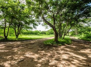 Terreno / Lote · 5020m² · Terreno en Venta en San José Kuche Yucatán