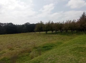 Terreno / Lote , Villa del Carbón · Venta de Terreno en Villa del Carbon