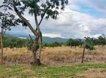Terreno / Lote · 525m² · Terreno en Pueblo El Lencero