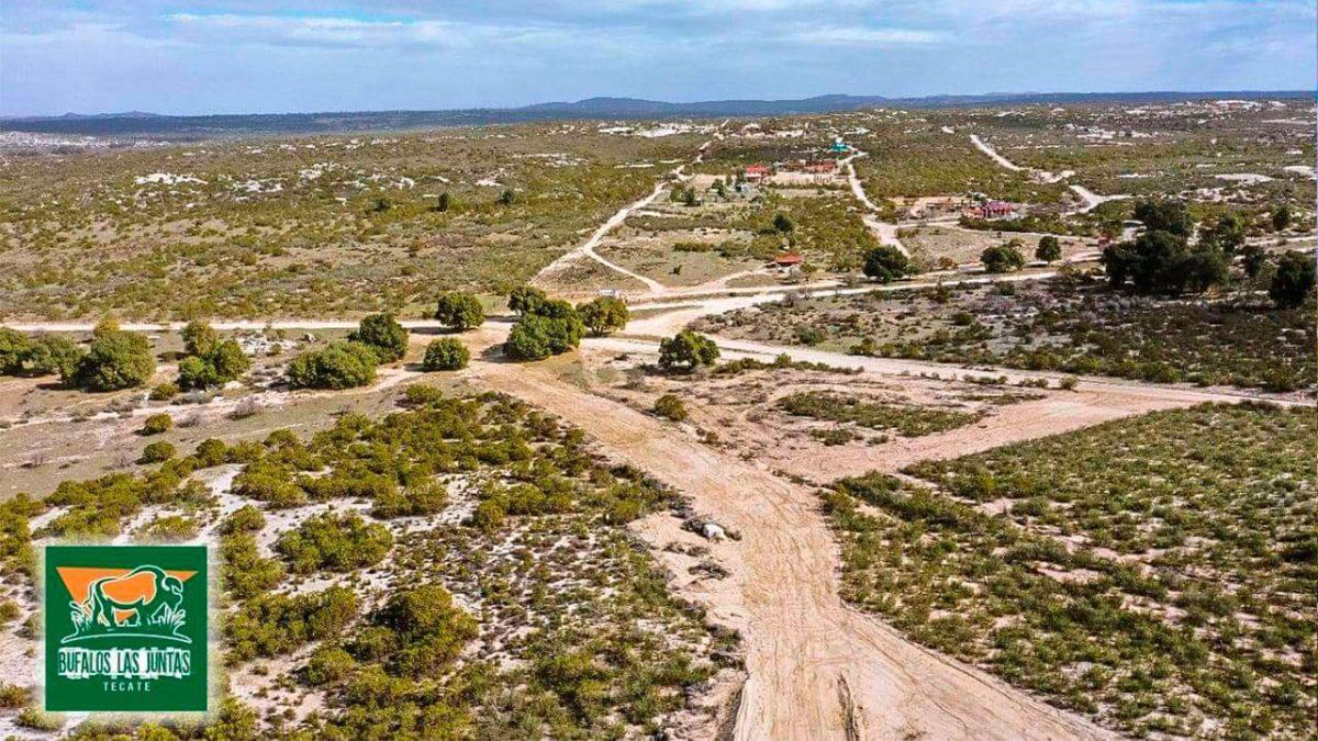 Se Vende Rancho en Bufalos Las Juntas, Tecate, B. C.