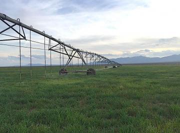 Rancho · 2750000m² · Venta de Rancho Agrícola por Carr. Cd. Aldama, Fer
