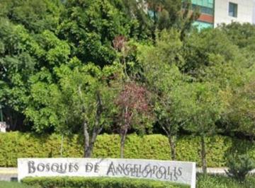 Terreno / Lote · 771m² · Terreno en Venta - (4)