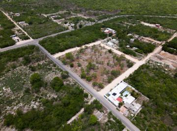 Terreno / Lote · Terreno en Ciudad Caucel