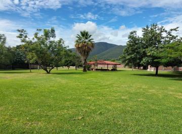 Terreno comercial , Yautepec · Extraordinario Terreno Bardeado Habilitado Como Jardín de Eventos, 9038 m²