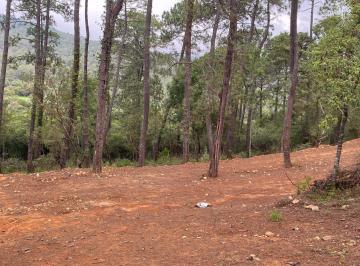 Terreno / Lote , Tapalpa · Terreno en Venta en Tapalpa Country Club 4g, Tapalpa, Jalisco