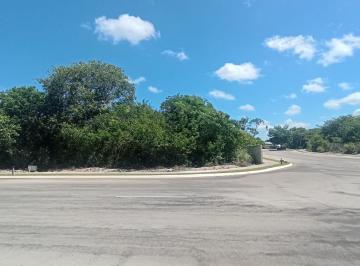 Terreno / Lote , Mérida · Terreno en Venta en El Cortijo en Merida Yucatan