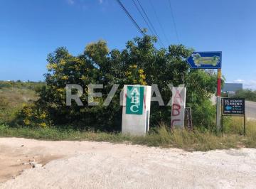 Terreno / Lote · 570m² · Venta Terreno Chicxulub Puerto, Excelente Ubicación Km.10.5 - (4)