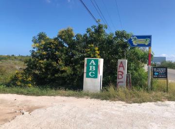 Terreno / Lote · 570m² · Venta Terreno Chicxulub Puerto, Excelente Ubicación Km.10.5 - (4)
