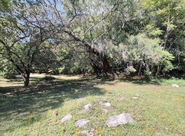 Terreno / Lote , Cuernavaca · Cuernavaca Venta Terreno 18,600 m² Zona Norte Cerca Glorieta Tlaltenango