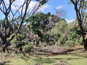 Terreno / Lote , Cuernavaca · Venta Terreno 18,600 m² Dentro de Cuernavaca Zona Norte