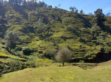 Terreno / Lote · 400000m² · Terreno en Venta en La Zona de Teziutlán
