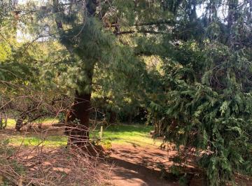 Terreno / Lote , Cuajimalpa de Morelos · Venta Terreno en Contadero