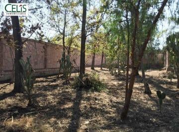 Terreno / Lote · 1750m² · Terreno en Venta en Santa Maria del Rio Centro