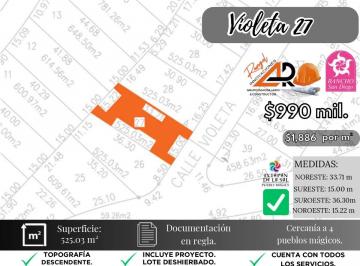 Terreno / Lote , Ixtapan de la Sal · Lote Violeta 27 Mz Xviii Fracc Rancho San Diego Ixtapan Sal Edomex Zona Vip