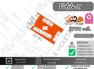 Terreno / Lote , Ixtapan de la Sal · Lote Violeta 29 Xviii Rancho San Diego Ixtapan de La Sal Edomex con Vista Vip