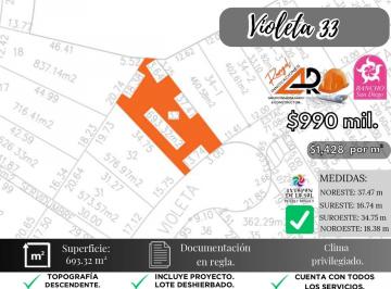 Terreno / Lote , Ixtapan de la Sal · Lote Violeta 33 Xviii Nueva Zona Vip Fracc Rancho San Diego Ixtapan Sal Edomex