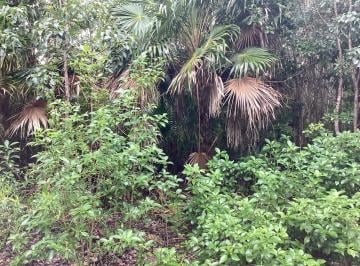 Terreno / Lote , Othón P. Blanco · Venta de Terreno con Orilla a La Bahia